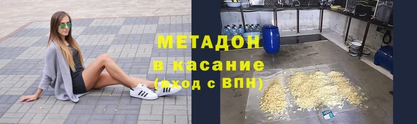 индика Алзамай