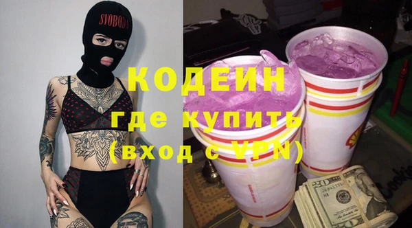 индика Алзамай
