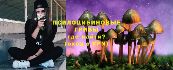 индика Алзамай