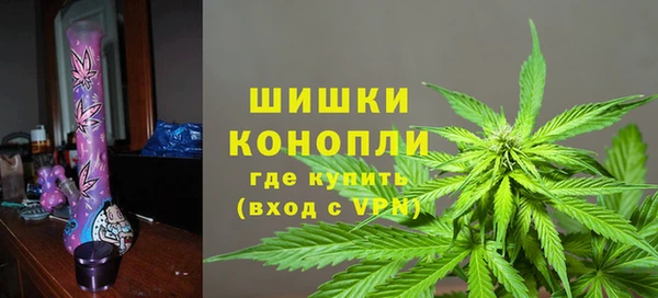 индика Алзамай