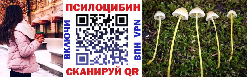 Псилоцибиновые грибы Psilocybe  блэк спрут рабочий сайт  Красногорск  где найти  